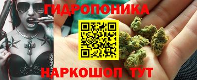 стафф Аша