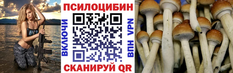 где можно купить   Череповец  Псилоцибиновые грибы мицелий 